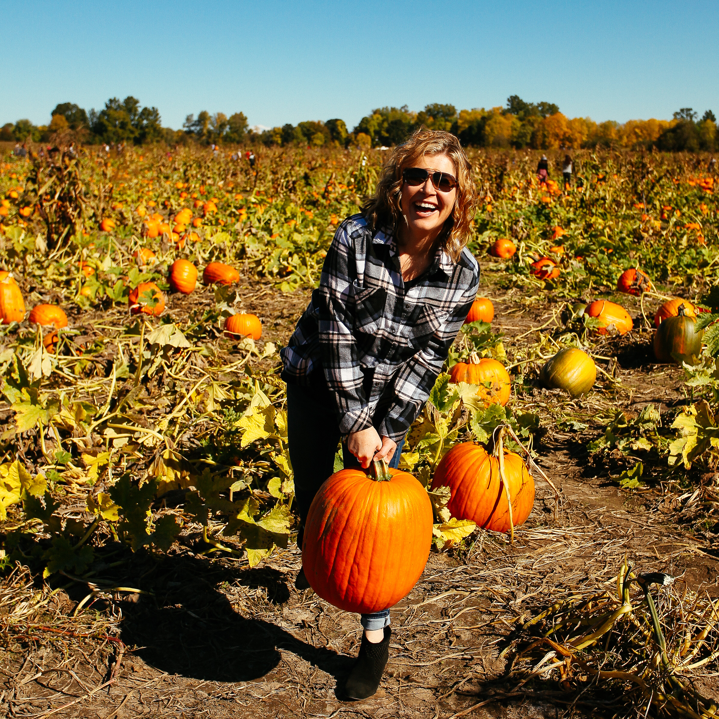 pumpkin-patch-fall-style